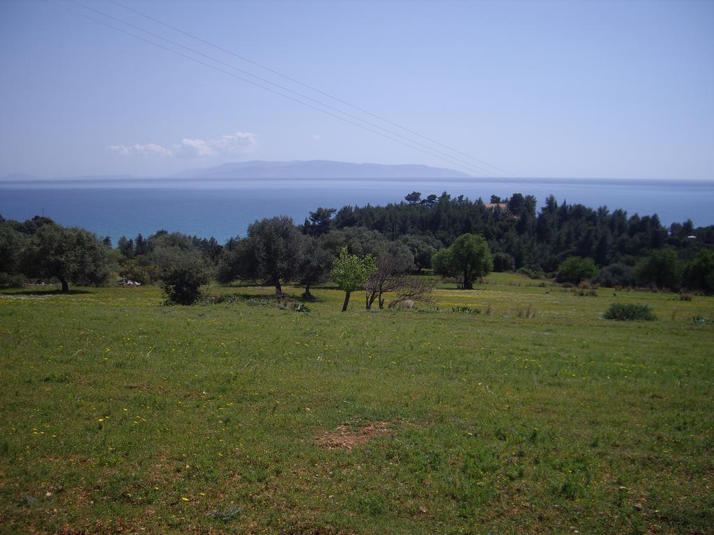 Apsedes Studios Trapezaki  Rom bilde